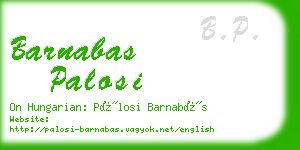 barnabas palosi business card